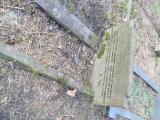 image of grave number 652856